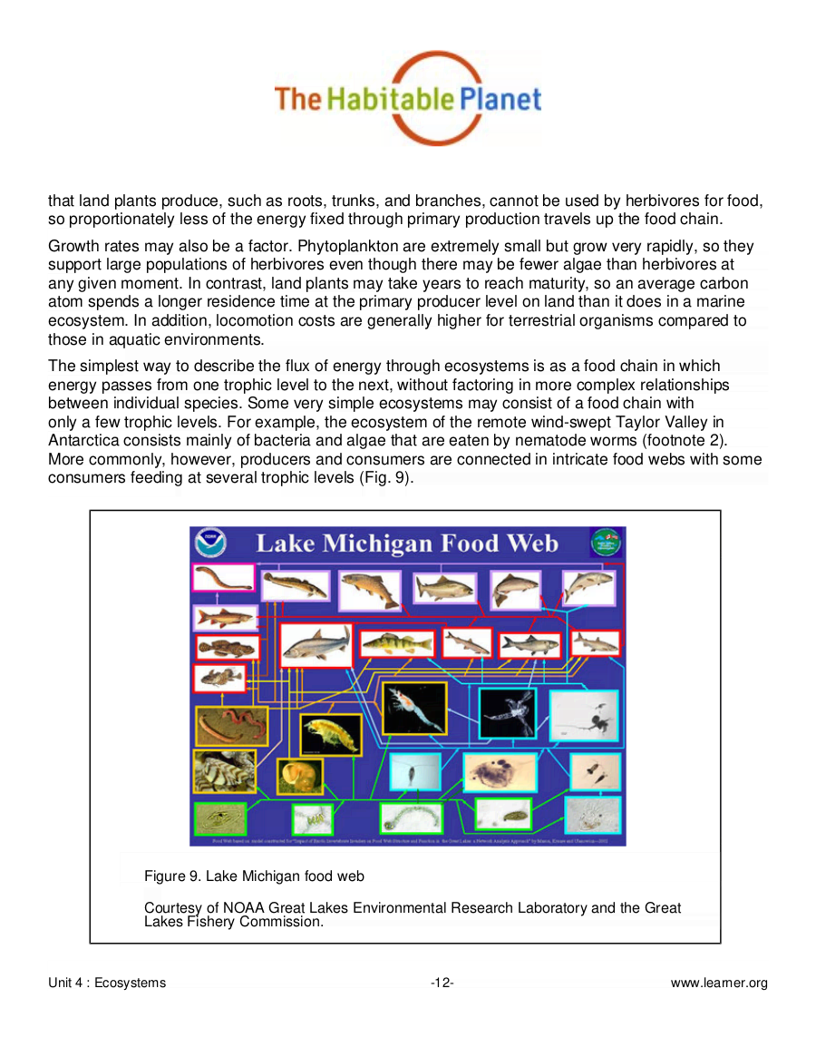 Introduction Of Ecosystem