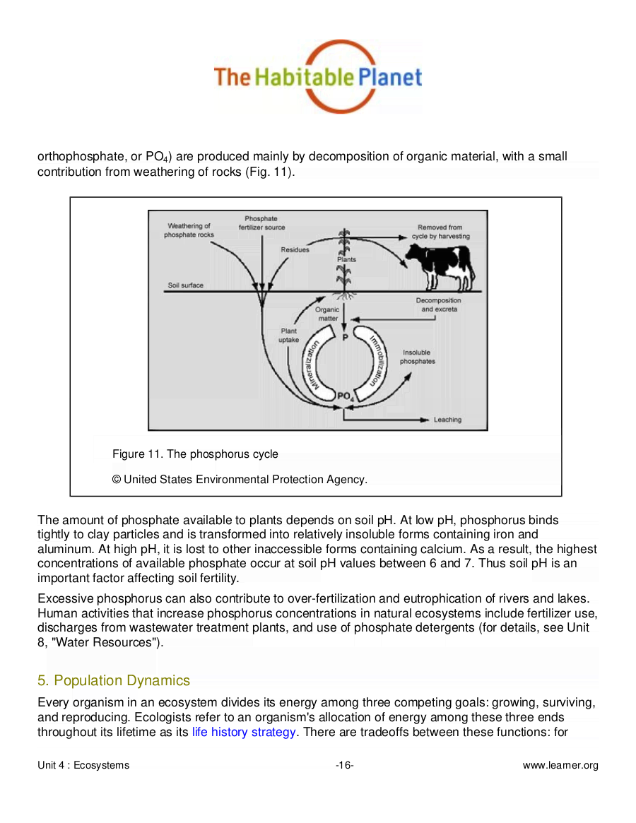 Introduction Of Ecosystem
